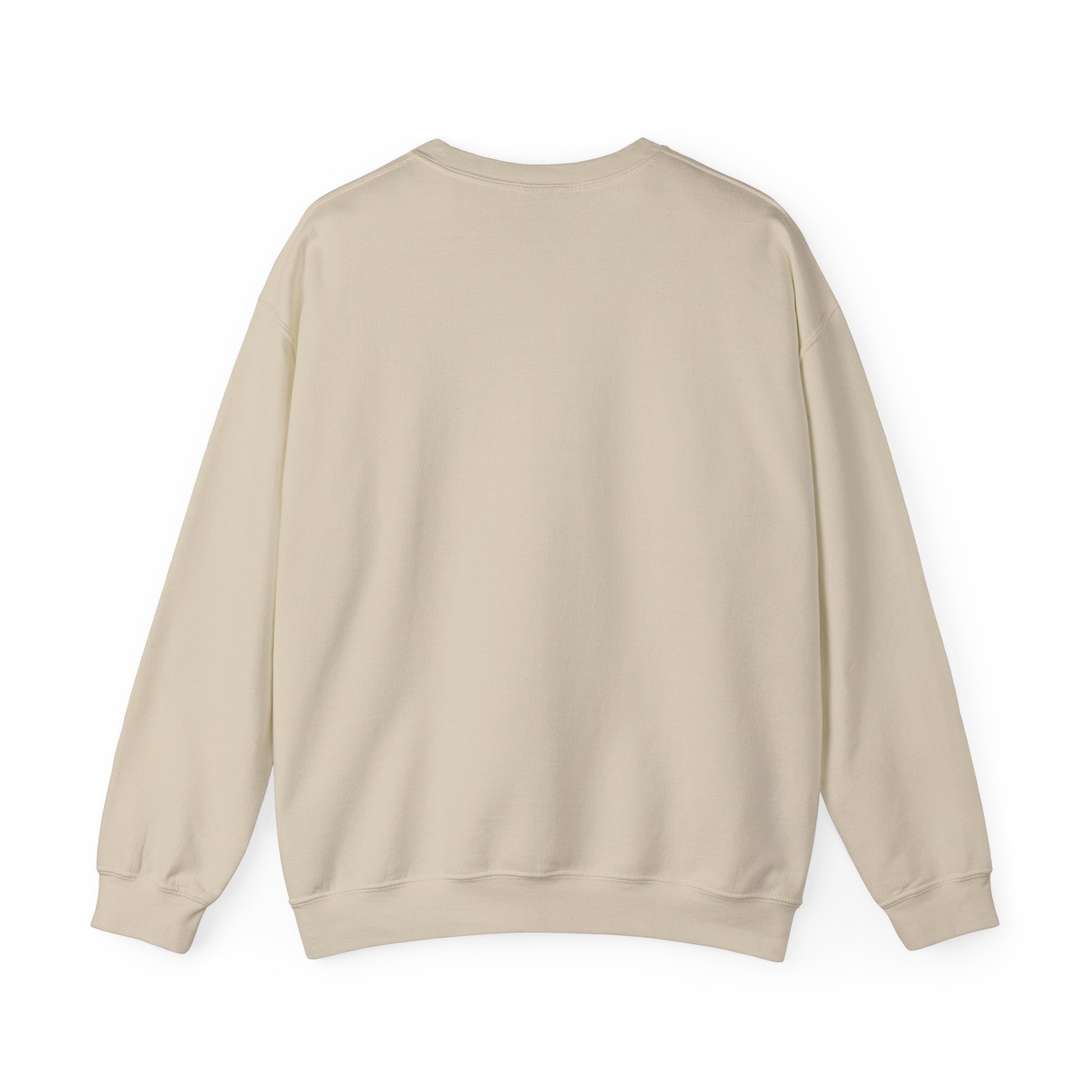 USA Crewneck Sweatshirt — Patriotic American Graphic Pullover