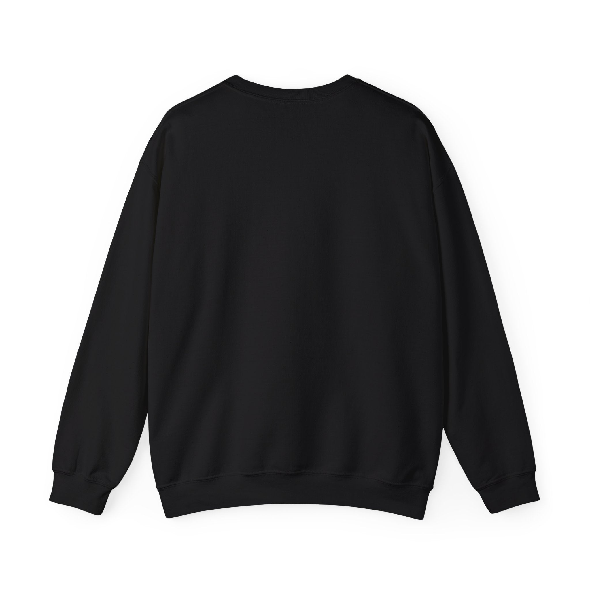 USA Crewneck Sweatshirt — Patriotic American Graphic Pullover