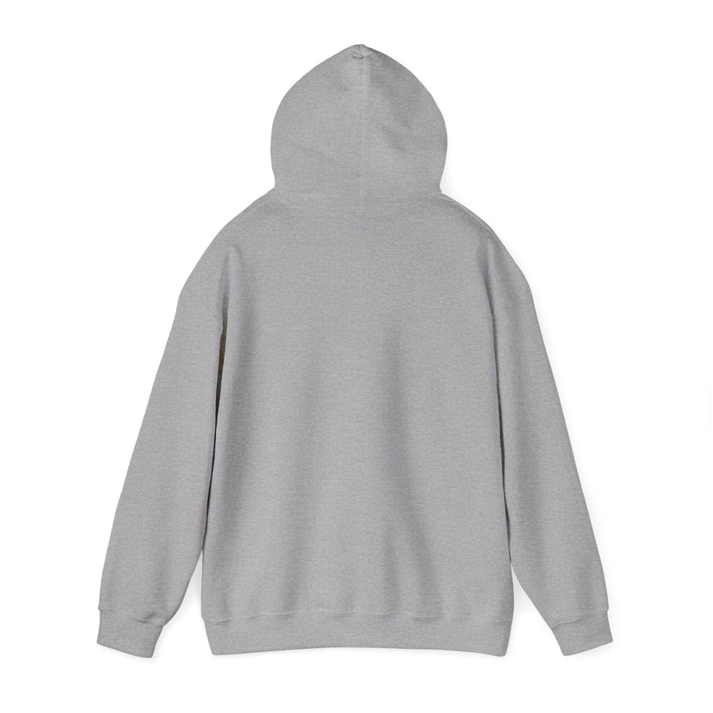 Supporting USA Hoodie | soccer watch party, country colors